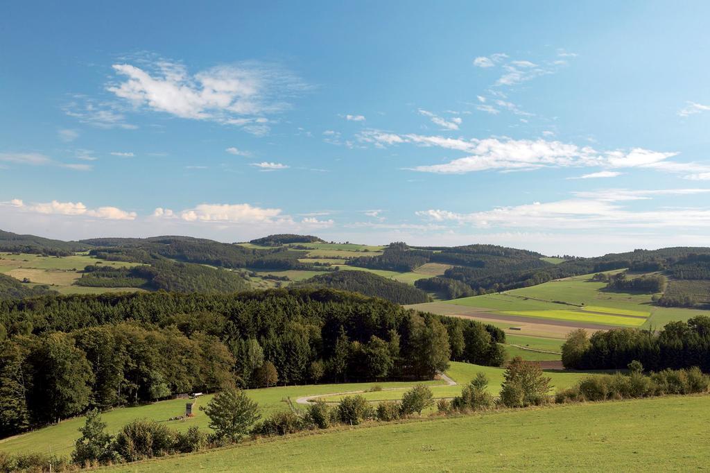 Wellnesshotel Buergerstuben Willingen  Exteriör bild