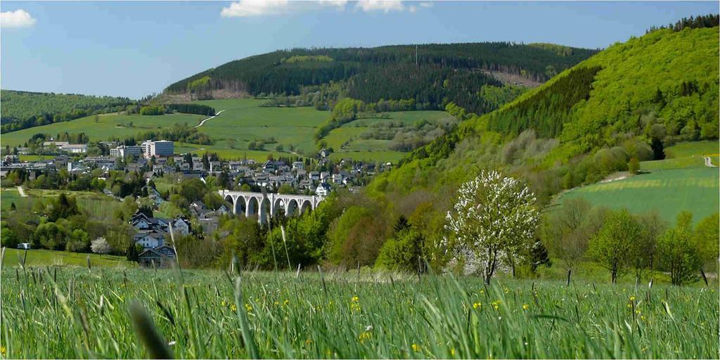 Wellnesshotel Buergerstuben Willingen  Exteriör bild
