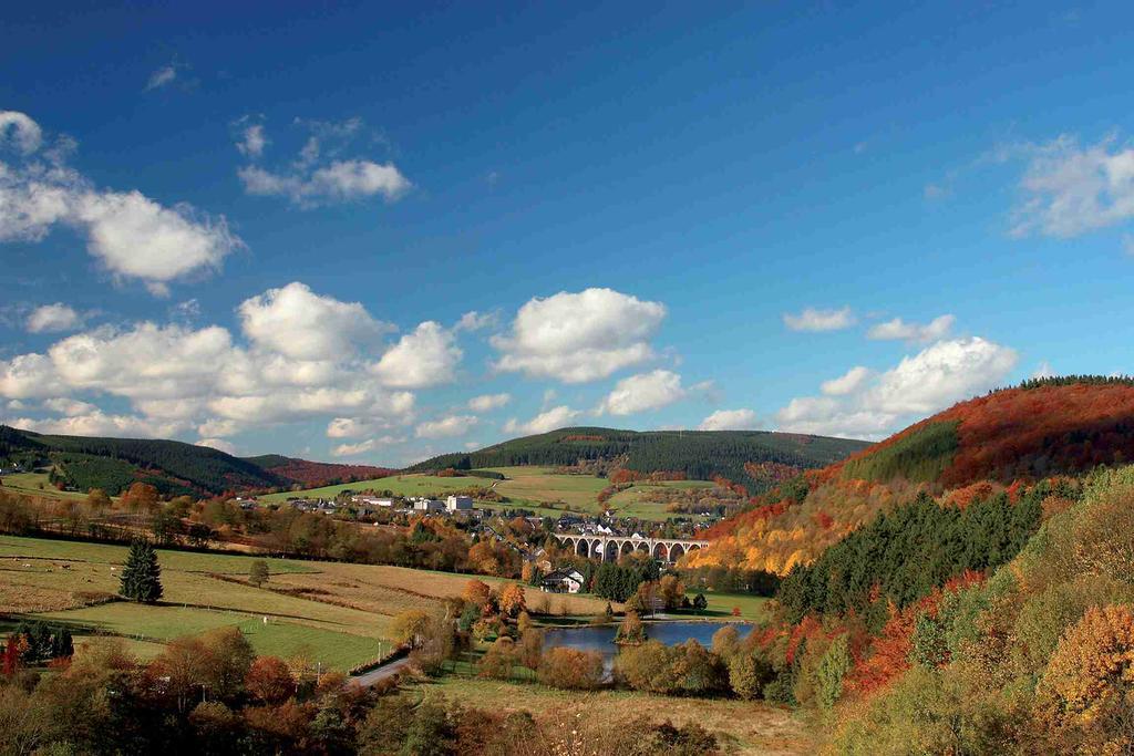 Wellnesshotel Buergerstuben Willingen  Exteriör bild
